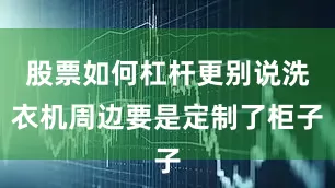 股票如何杠杆更别说洗衣机周边要是定制了柜子