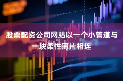 股票配资公司网站以一个小管道与一块柔性薄片相连