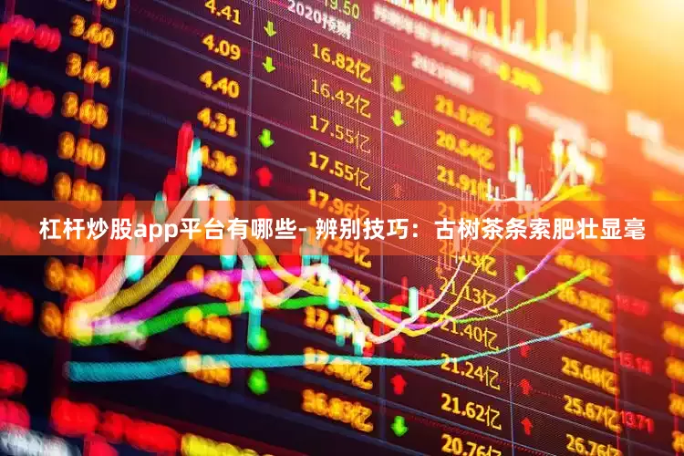 杠杆炒股app平台有哪些- 辨别技巧：古树茶条索肥壮显毫