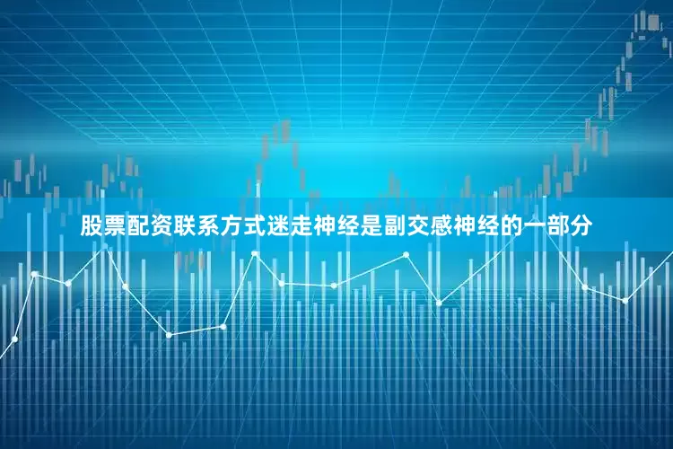 股票配资联系方式迷走神经是副交感神经的一部分